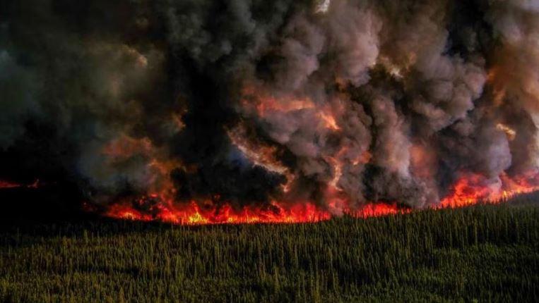 Chay rung tai Canada min - Cháy rừng tại Canada khủng khiếp đến mức nào?