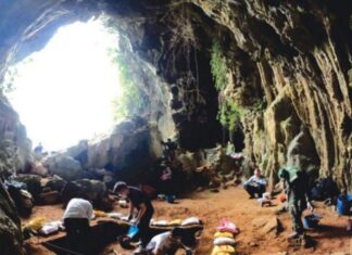 Phát hiện loài thú cổ trong hang động ở Hà Nam