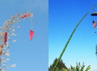Tục dựng nêu và hạ nêu có ý nghĩa gì? – Tác giả: Nguyễn Hạnh Tục dựng nêu và hạ nêu có ý nghĩa gì? - Tác giả: Nguyễn Hạnh