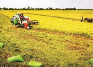 Vĩnh Long phấn đấu là tỉnh phát triển toàn diện, văn minh, hiện đại Vĩnh Long phấn đấu là tỉnh phát triển toàn diện, văn minh, hiện đại