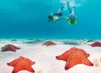 ‘Cái nôi di sản’ bên bờ biển Caribe 'Cái nôi di sản' bên bờ biển Caribe