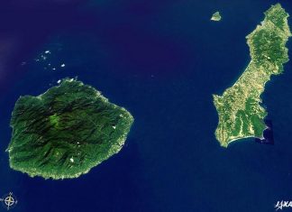 Khám phá đảo Yakushima, dấu tích còn lại của một khu rừng cổ ôn đới