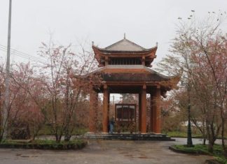 Phát triển Măng Đen thành thị trấn Hoa Anh Đào, bốn mùa hoa nở Phát triển Măng Đen thành thị trấn Hoa Anh Đào, bốn mùa hoa nở