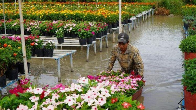 Tri ân tiền nhân và tôn vinh người trồng hoa, kiểng Sa Đéc