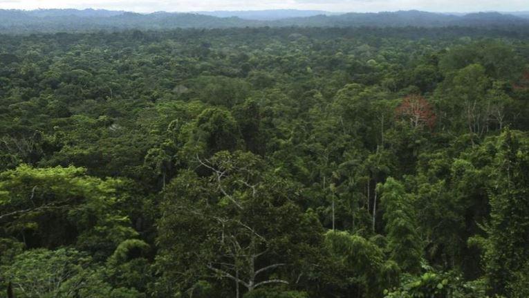 trong rung nhiet doi Amazon min - Khó tin: mạng lưới đô thị 2.500 năm tuổi trong rừng nhiệt đới Amazon