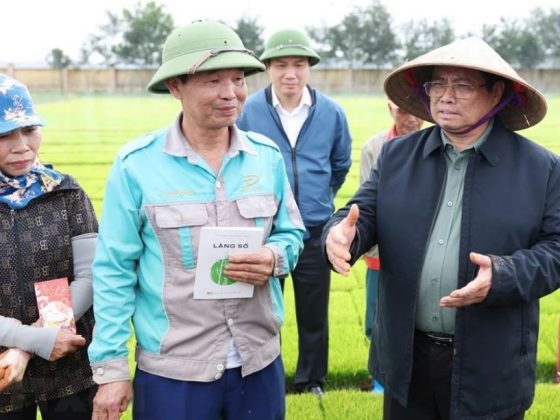 1 min 18 560x420 - Thủ tướng xuống đồng động viên nông dân Hải Dương sản xuất vụ Đông Xuân