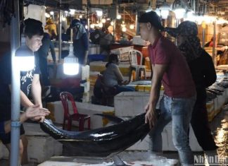 Chợ cá lớn nhất Đà Nẵng tấp nập ngày cận Tết