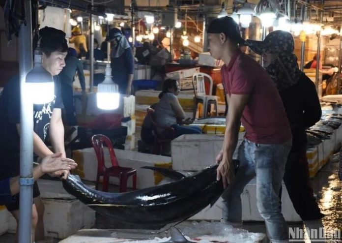 Chợ cá lớn nhất Đà Nẵng tấp nập ngày cận Tết