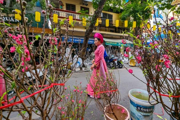 11 630x420 - Ấn tượng hình ảnh áo dài truyền thống mang màu Tết xưa ở chợ hoa phố cổ Hà Nội