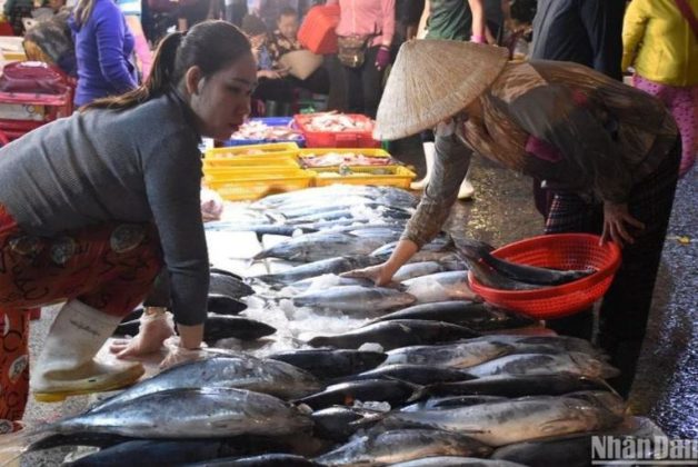 11 min 4 628x420 - Chợ cá lớn nhất Đà Nẵng tấp nập ngày cận Tết