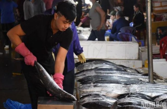 12 min 2 642x420 - Chợ cá lớn nhất Đà Nẵng tấp nập ngày cận Tết