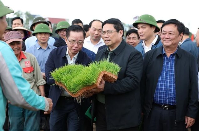 3 min 19 639x420 - Thủ tướng xuống đồng động viên nông dân Hải Dương sản xuất vụ Đông Xuân