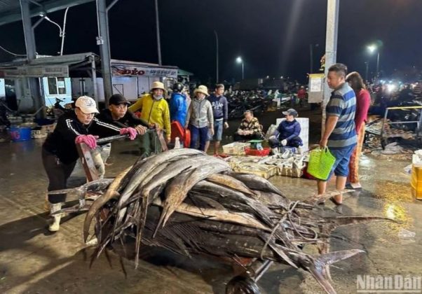 3 min 9 602x420 - Chợ cá lớn nhất Đà Nẵng tấp nập ngày cận Tết