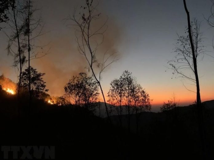 Yên Bái: Kịp thời dập tắt 3 vụ cháy rừng ở huyện Mù Cang Chải