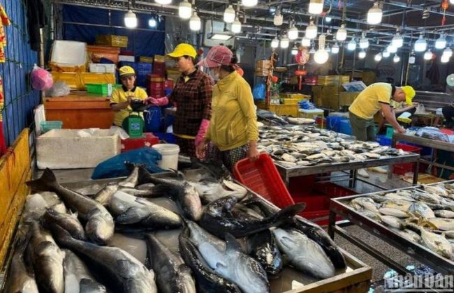 5 min 8 650x420 - Chợ cá lớn nhất Đà Nẵng tấp nập ngày cận Tết