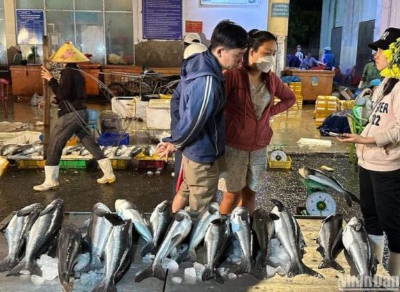 6 min 8 575x420 - Chợ cá lớn nhất Đà Nẵng tấp nập ngày cận Tết