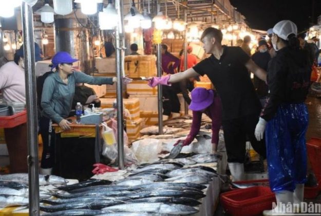 8 min 5 625x420 - Chợ cá lớn nhất Đà Nẵng tấp nập ngày cận Tết