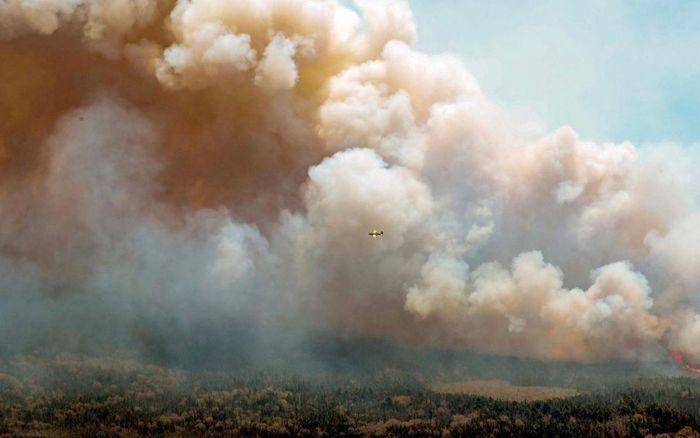 Chay rung o Chile khien 123 nguoi thiet mang - Cháy rừng ở Chile khiến 123 người thiệt mạng