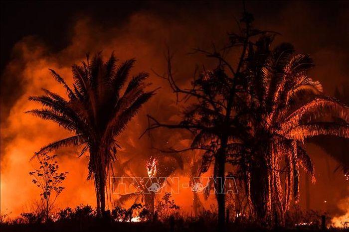 Khoi lua boc len tu dam chay rung Amazon - Rừng Amazon tại Brazil có số vụ cháy kỷ lục với gần 3.000 vụ trong tháng 2
