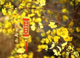 Những lời chúc Tết Nguyên đán 2024 bằng thơ, câu đối Những lời chúc Tết Nguyên đán 2024 bằng thơ, câu đối