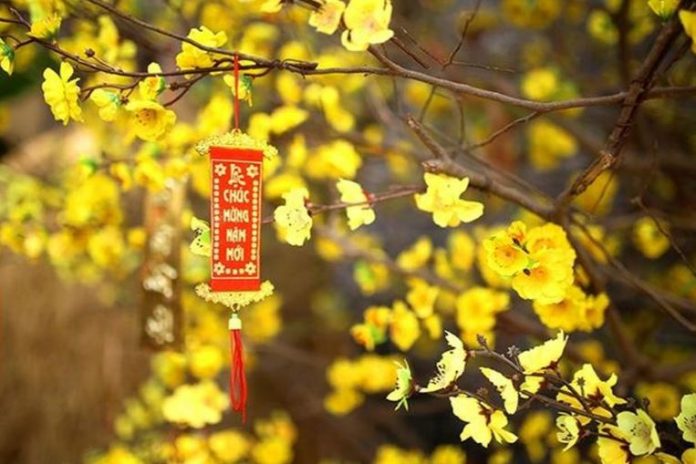 Những lời chúc Tết Nguyên đán 2024 bằng thơ, câu đối