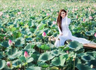 Quy hoạch tỉnh Đồng Tháp thời kỳ 2021 – 2030, tầm nhìn đến năm 2050 Quy hoạch tỉnh Đồng Tháp thời kỳ 2021 - 2030, tầm nhìn đến năm 2050