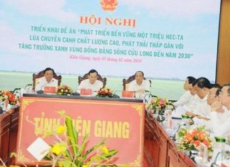 Triển khai Đề án một triệu héc-ta chuyên canh lúa chất lượng cao và phát thải thấp Triển khai Đề án một triệu héc-ta chuyên canh lúa chất lượng cao và phát thải thấp