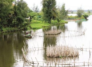 Bảo tồn đa dạng sinh học Vu Gia - Thu Bồn