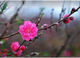 Bản tin dự báo, cảnh báo xu thế thời tiết trên đất liền thời hạn đến 10 ngày (Từ đêm 20 đến ngày 01/3/2024)