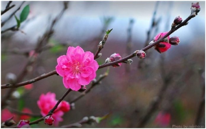 Bản tin dự báo, cảnh báo xu thế thời tiết trên đất liền thời hạn đến 10 ngày (Từ đêm 20 đến ngày 01/3/2024) Bản tin dự báo, cảnh báo xu thế thời tiết trên đất liền thời hạn đến 10 ngày (Từ đêm 20 đến ngày 01/3/2024)
