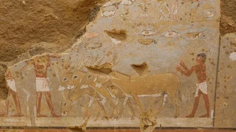 Bi an mo doi min - Bí ẩn mộ đôi 'mê cung' 4.300 tuổi của nữ tư tế Ai Cập