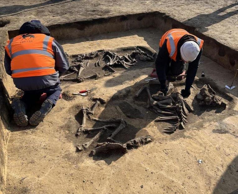 Bo xuong 6000 nam tuoi min - Bộ xương 6.000 năm tuổi lộ ra khi khởi công nhà máy chip