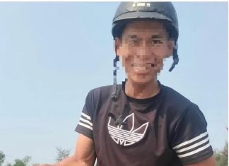 Rùa biển 'đi lạc' vào phá Tam Giang