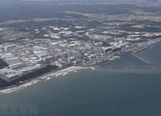 Động đất mạnh gần bờ biển tỉnh Fukushima, TEPCO dừng xả thải
