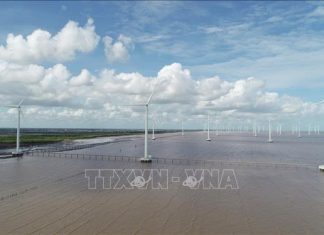 Phát triển thị trường carbon - Bài 1: Không thể chậm chân
