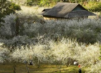 Xây dựng Điện Biên thành trung tâm du lịch của Tiểu vùng Tây Bắc - Bài 1: 'Kho báu' nơi đại ngàn