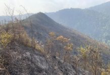 Yên Bái: Vụ cháy rừng ở huyện Mù Cang Chải thiêu rụi 2,5ha rừng tái sinh