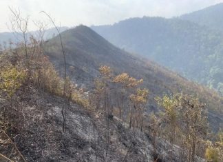 Yên Bái: Vụ cháy rừng ở huyện Mù Cang Chải thiêu rụi 2,5ha rừng tái sinh