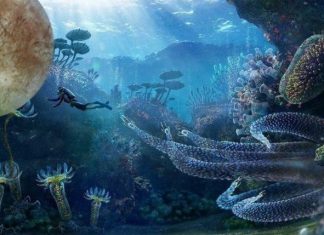 Phát hiện mới về cơ hội tồn tại sự sống trên mặt trăng của sao Mộc
