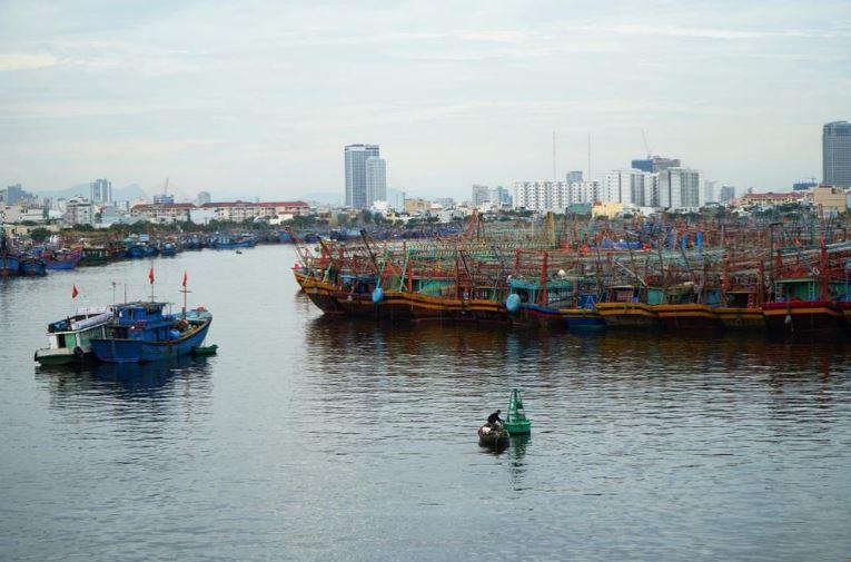 Cần đầu tư phát triển đồng bộ hạ tầng nghề cá tại âu tàu, cảng cá Thọ Quang.