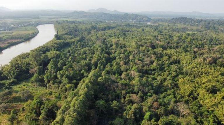 tin chi carbon rung cua Viet Nam 2 min - Hình thành thị trường tín chỉ carbon rừng của Việt Nam