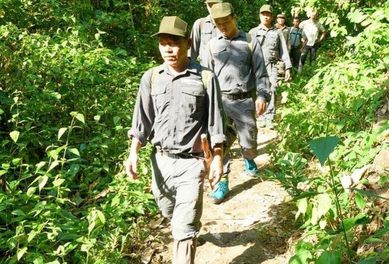 tin chi carbon rung cua Viet Nam min - Hình thành thị trường tín chỉ carbon rừng của Việt Nam