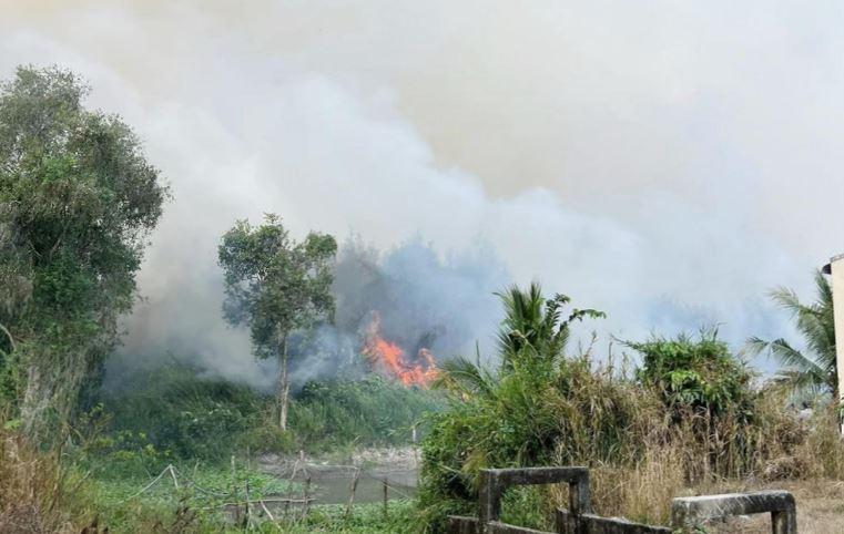 40 ha rung o Ca Mau 2 min - 40 ha rừng ở Cà Mau đang cháy lớn