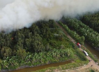 40 ha rừng ở Cà Mau đang cháy lớn