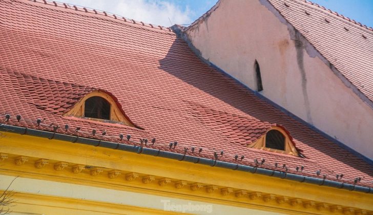 8 min 2 728x420 - Bí ẩn những 'đôi mắt Sibiu' thao thức trên mái nhà