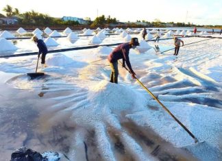 Diêm dân Bạc Liêu lo lắng giữ nghề di sản