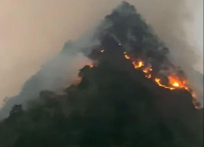 Sơn La: Cơ bản khống chế được vụ cháy rừng tại huyện Mường La