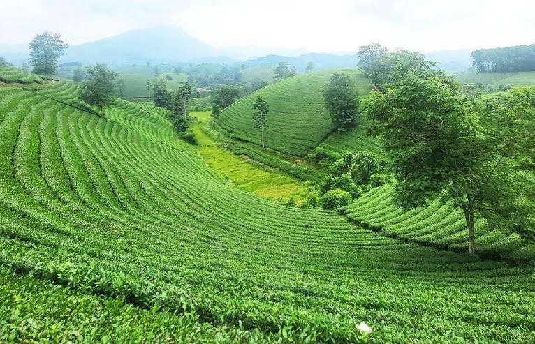 Kham pha thien nhien Phu Tho min - Khám phá thiên nhiên Phú Thọ