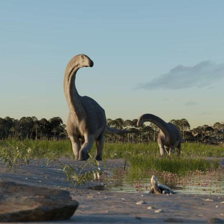 Phat hien hoa thach khung long khong lo moi tai Argentina min - Phát hiện hóa thạch khủng long khổng lồ mới tại Argentina