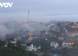 Quy hoạch Đà Lạt: Hồi sinh cấu trúc phố trong rừng, rừng trong phố Quy hoạch Đà Lạt: Hồi sinh cấu trúc phố trong rừng, rừng trong phố